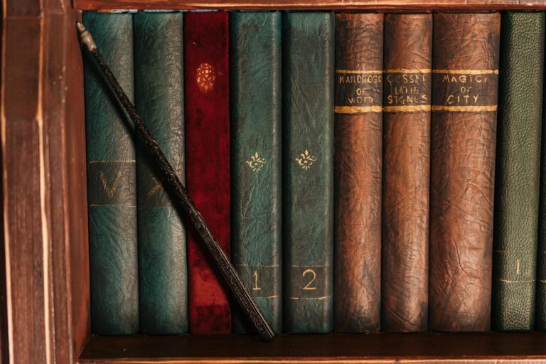 Libreria con libri fantasy e una copia di The Wandering Inn