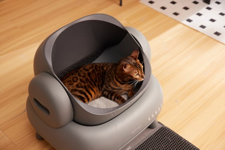 Lettiera autopulente per gatti con meccanismo automatico