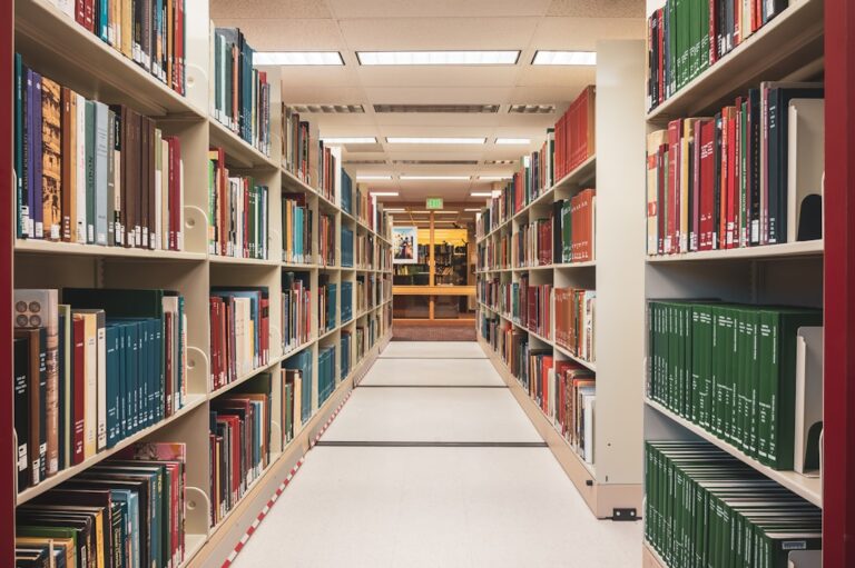 Biblioteca con scaffali di libri antichi, simbolo dell'archivio del progetto Library of Leng per Magic