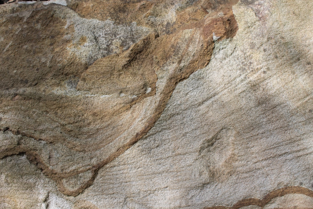 Fossili ediacarani, prova sesso animale, Canada