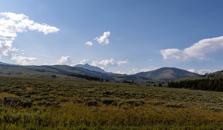 Paesaggio del Montana simile alla serie Yellowstone, possibile ambientazione di un videogioco Paramount