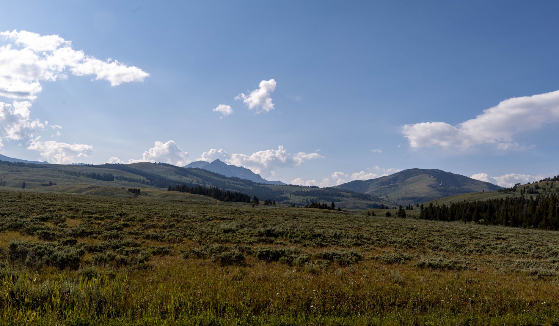 Paesaggio del Montana simile alla serie Yellowstone, possibile ambientazione di un videogioco Paramount