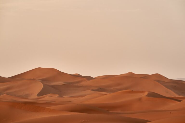 Schermata di gioco di Crimson Desert, open world fantasy