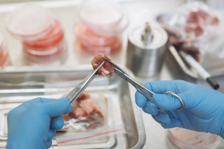 Riprogrammazione cellulare per ringiovanimento: laboratorio con microscopio e campioni
