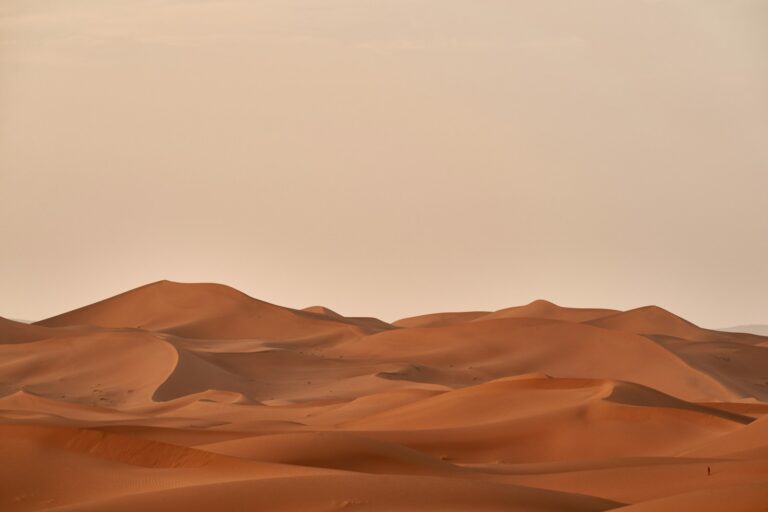 Schermata di gioco di Crimson Desert con personaggio in un ambiente fantasy