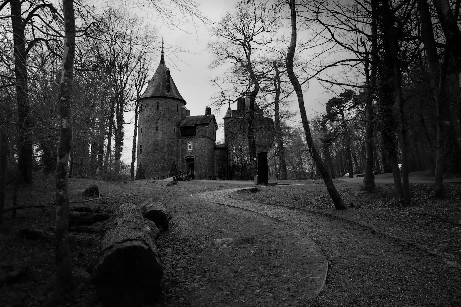 Schermata immersiva di Gothic Remake con foresta e NPC