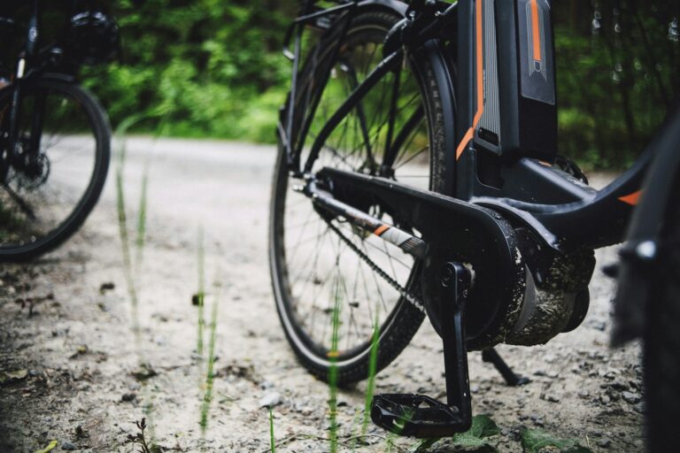 Motore di una bicicletta a pedalata assistita controllata con il bici-velox